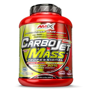 Amix CarboJet Mass Professional 3kg lesní ovoce