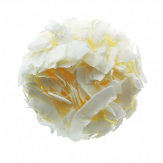 LifeLike Kokosové chipsy - 400g