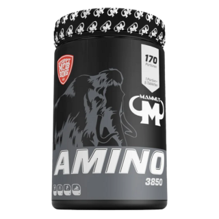 Mammut Amino 3850 - 850 tablet